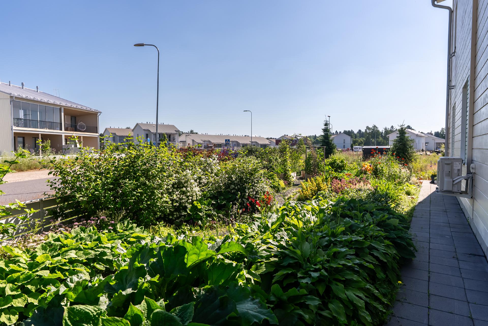 Purjelaivankaari 36, Pateniemenranta, Oulu