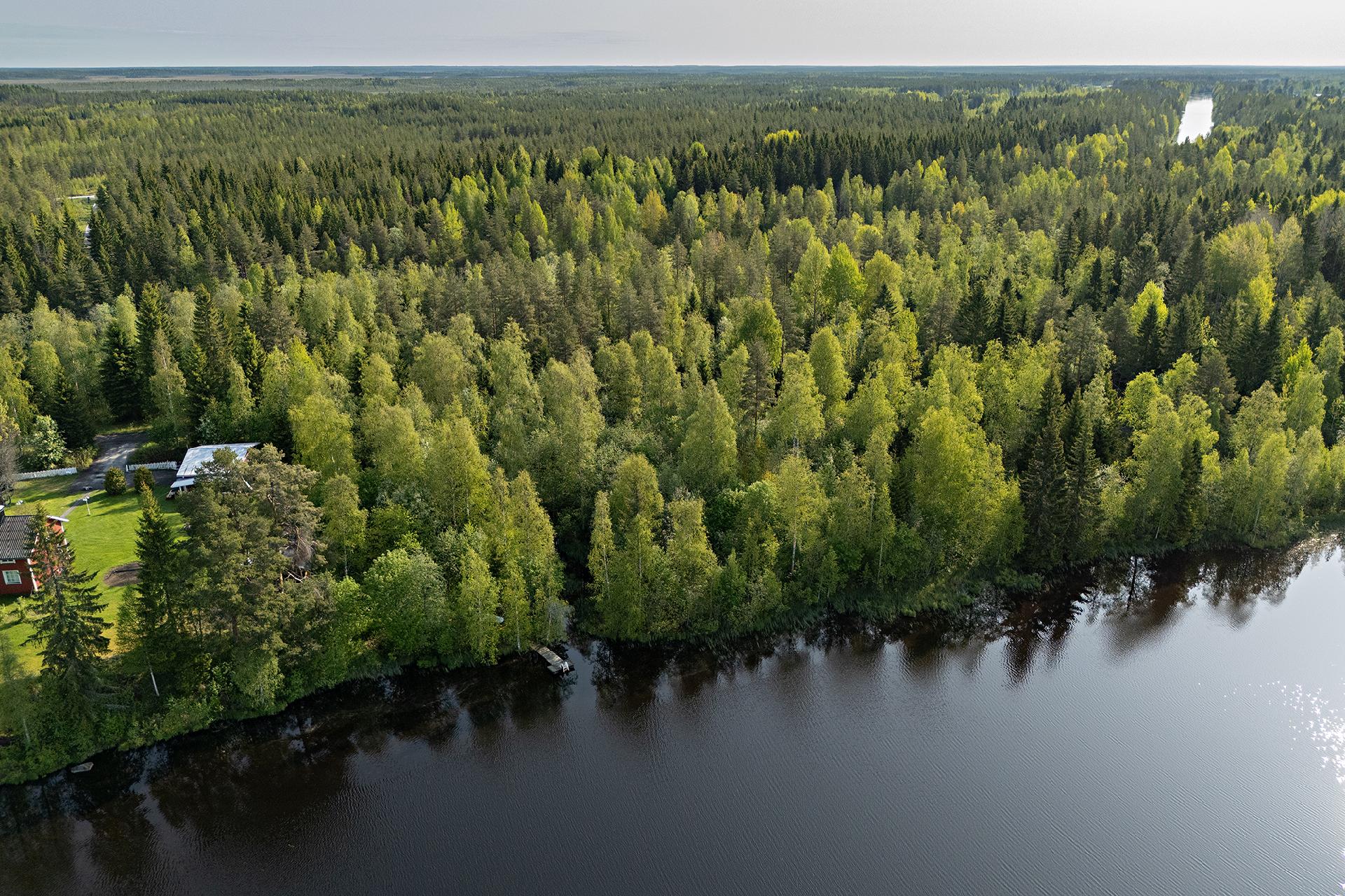 Leppäharjuntie 16, Sotkajärvi, Utajärvi