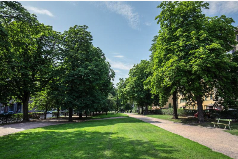 Hesperianpuisto