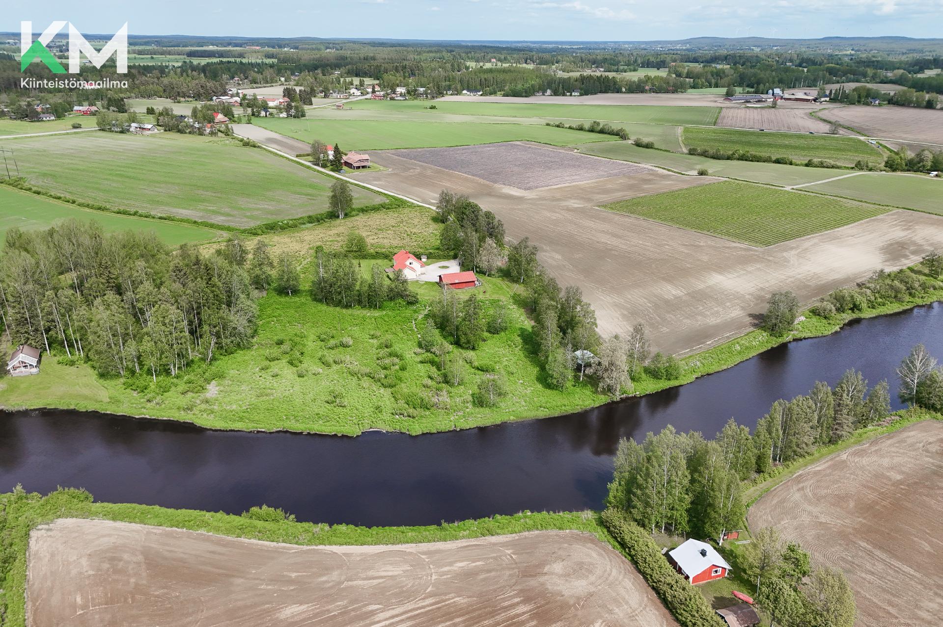 Arskantie 55, Mieto, Kurikka