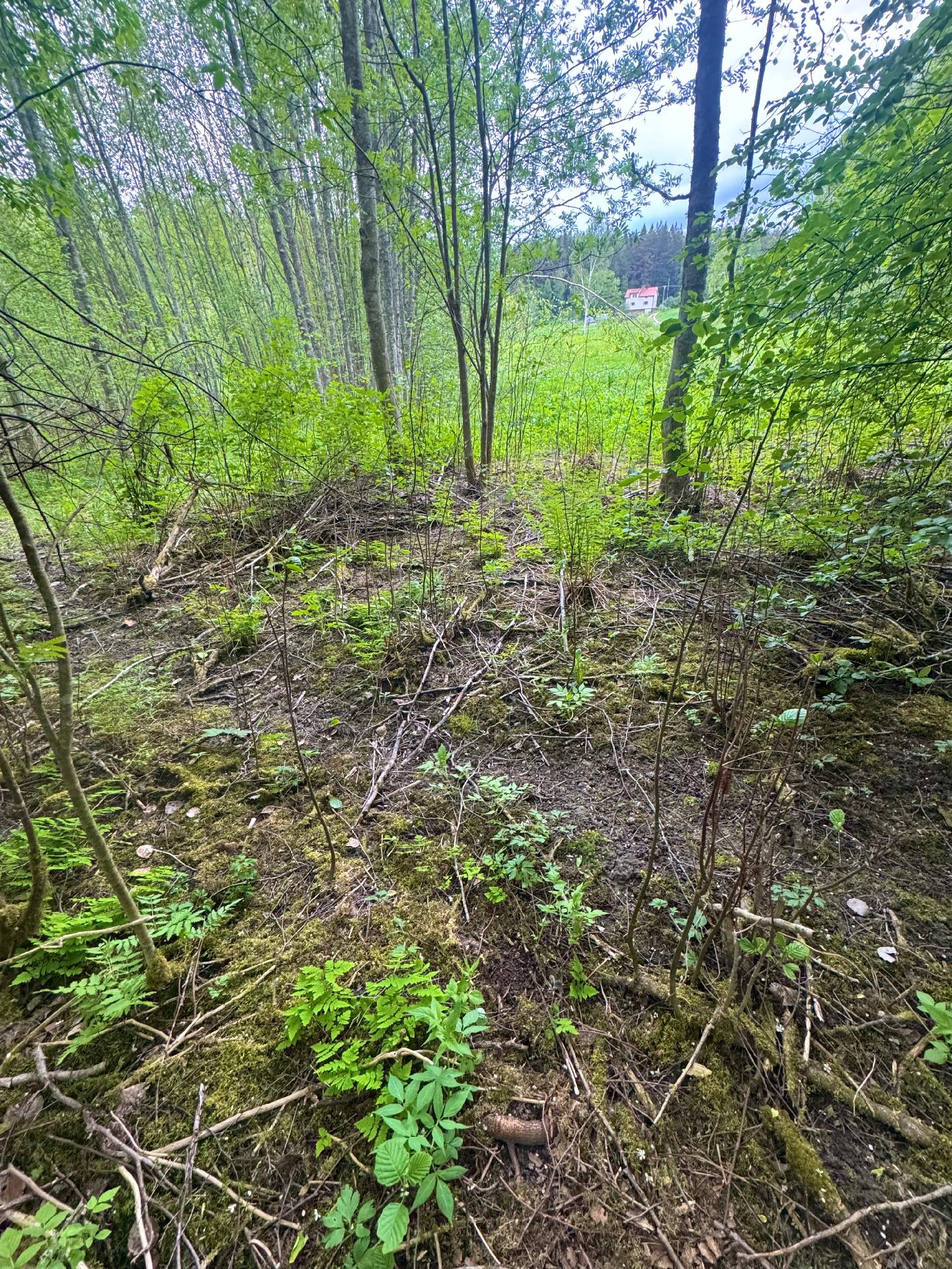 Hakalantie 94, Virala, Janakkala
