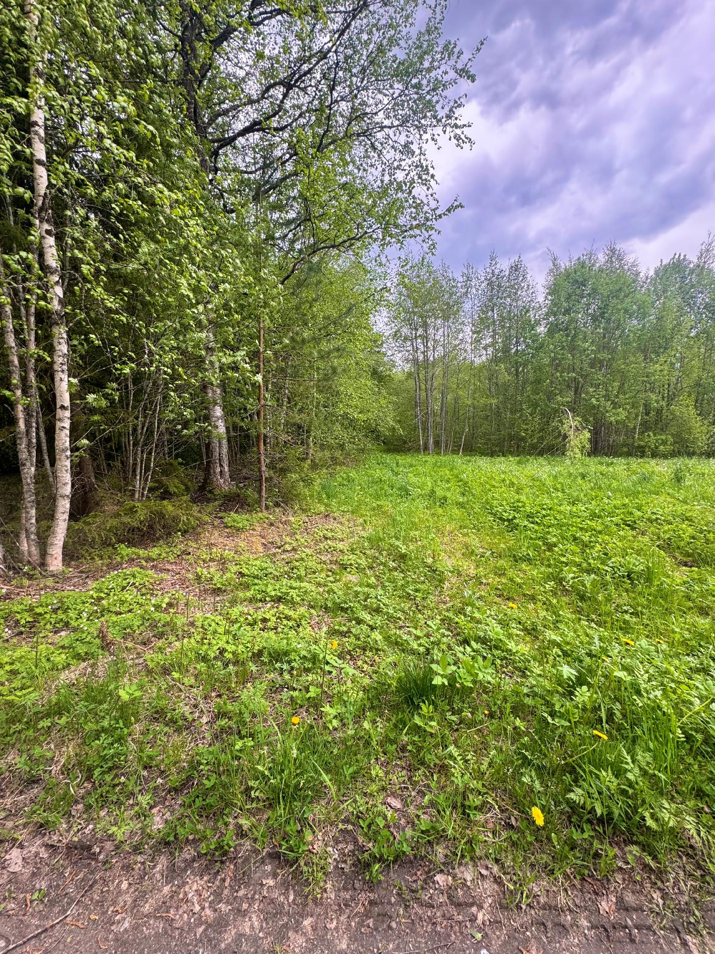 Hakalantie 94, Virala, Janakkala
