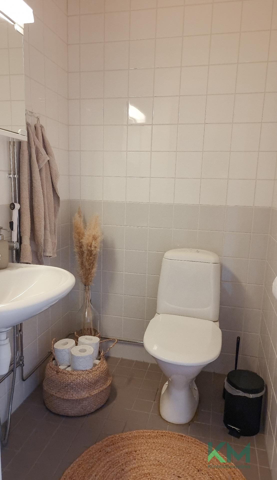 Erillisessä vessassa neutraalit sävyt.