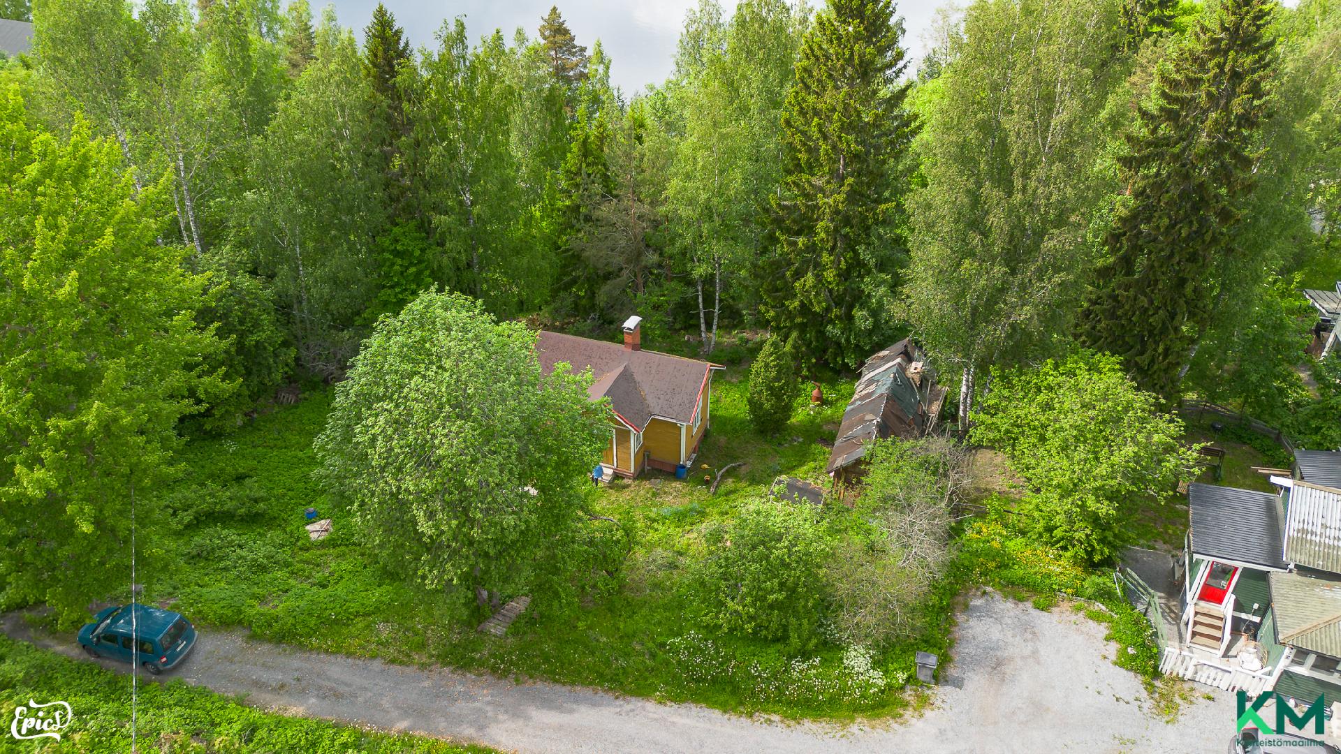 Lupantie 5, Siuro, Nokia