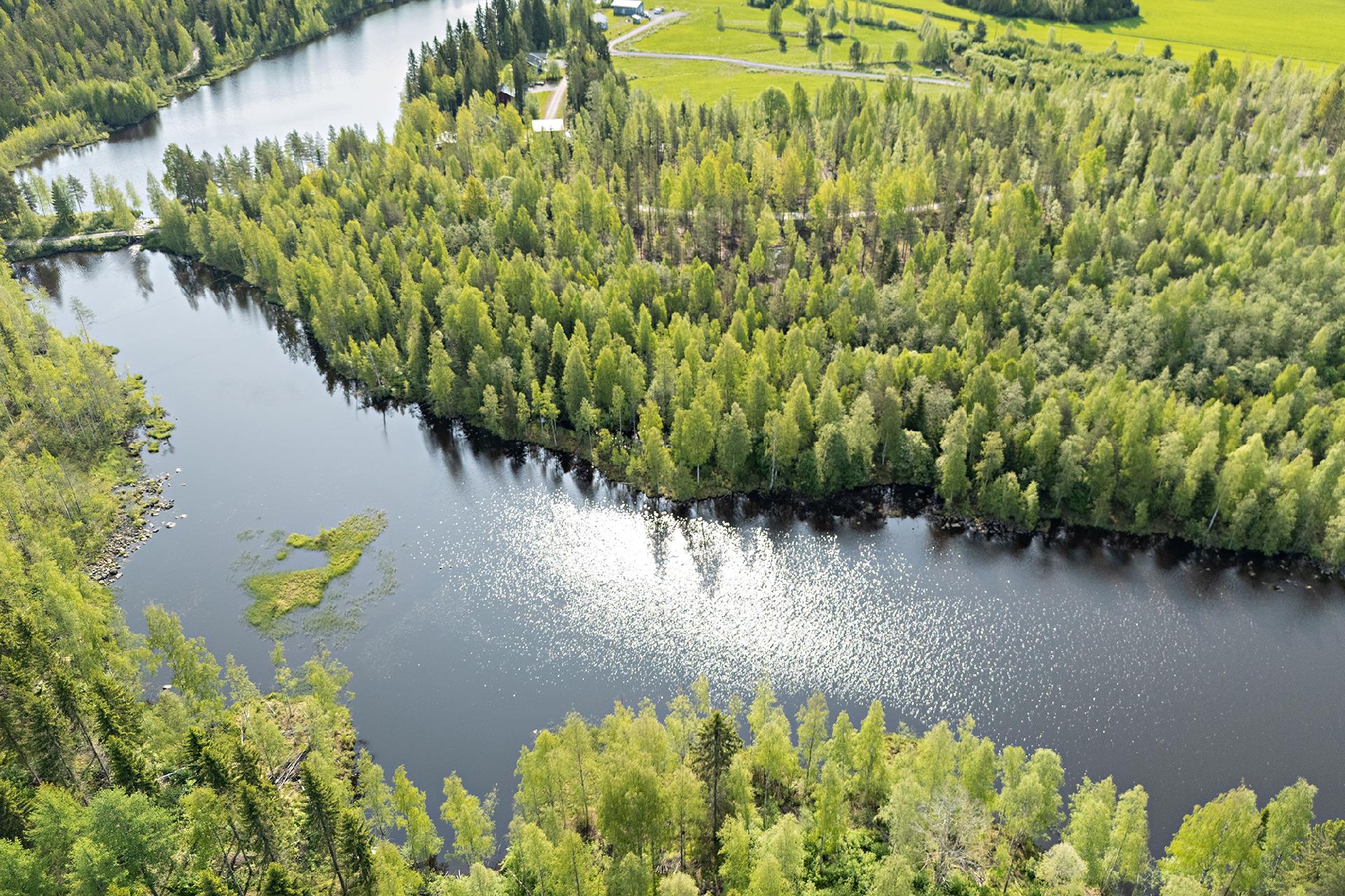 Saviniementie 123, Sotkajärvi, Utajärvi