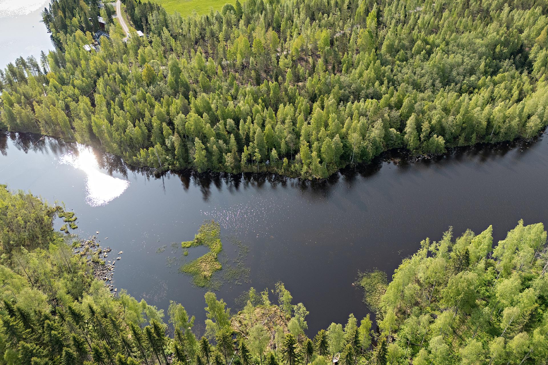 Saviniementie 125, Sotkajärvi, Utajärvi