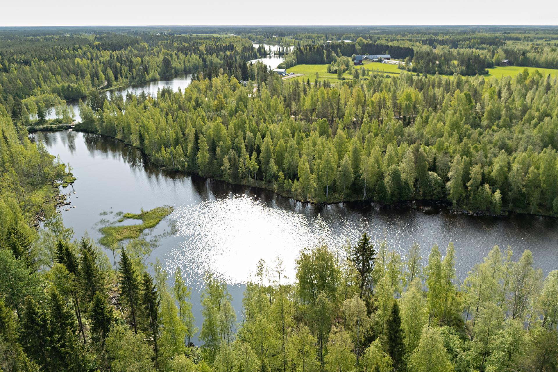Saviniementie 127, Sotkajärvi, Utajärvi