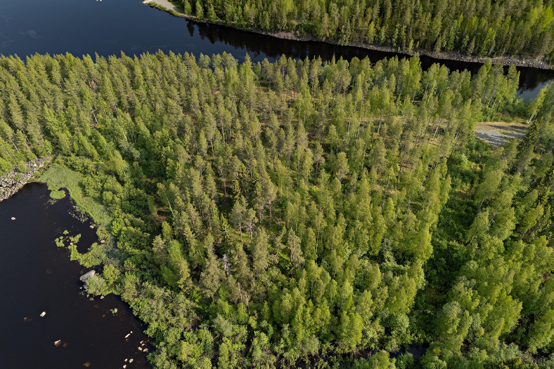 Ristiniementie 10, Sotkajärvi, Utajärvi