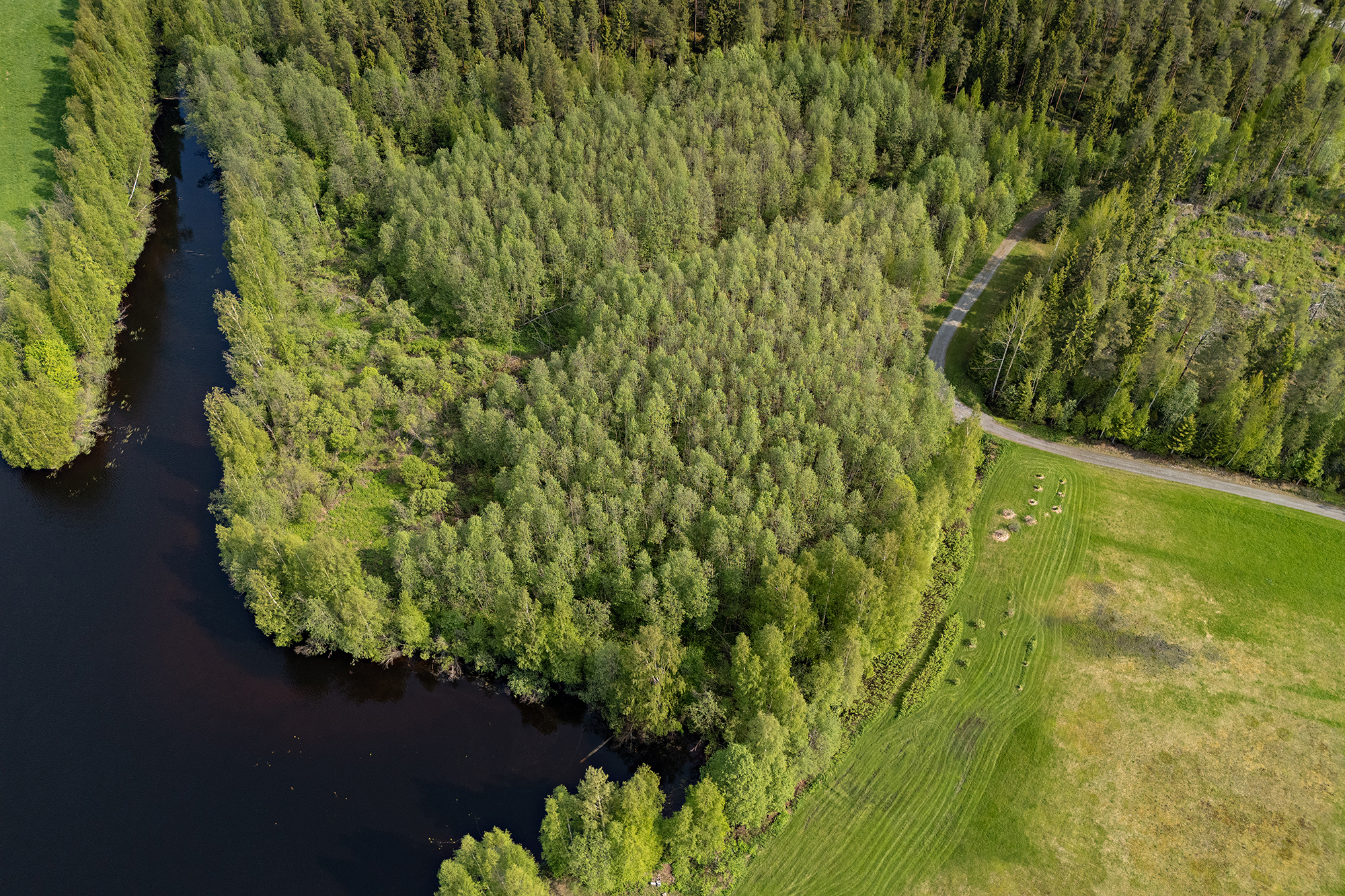 Sotkantie 1259, Sotkajärvi, Utajärvi