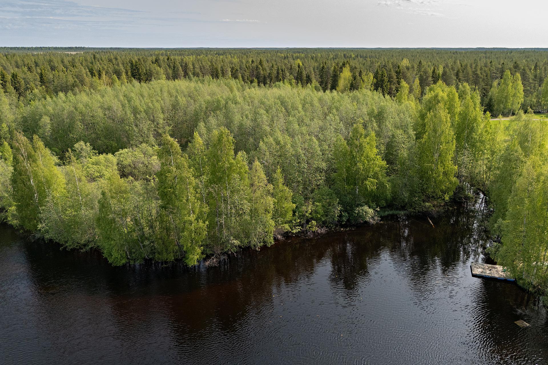 Sotkantie 1259, Sotkajärvi, Utajärvi