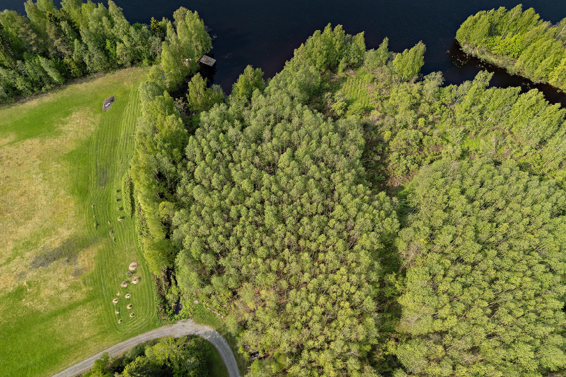 Sotkantie 1259, Sotkajärvi, Utajärvi