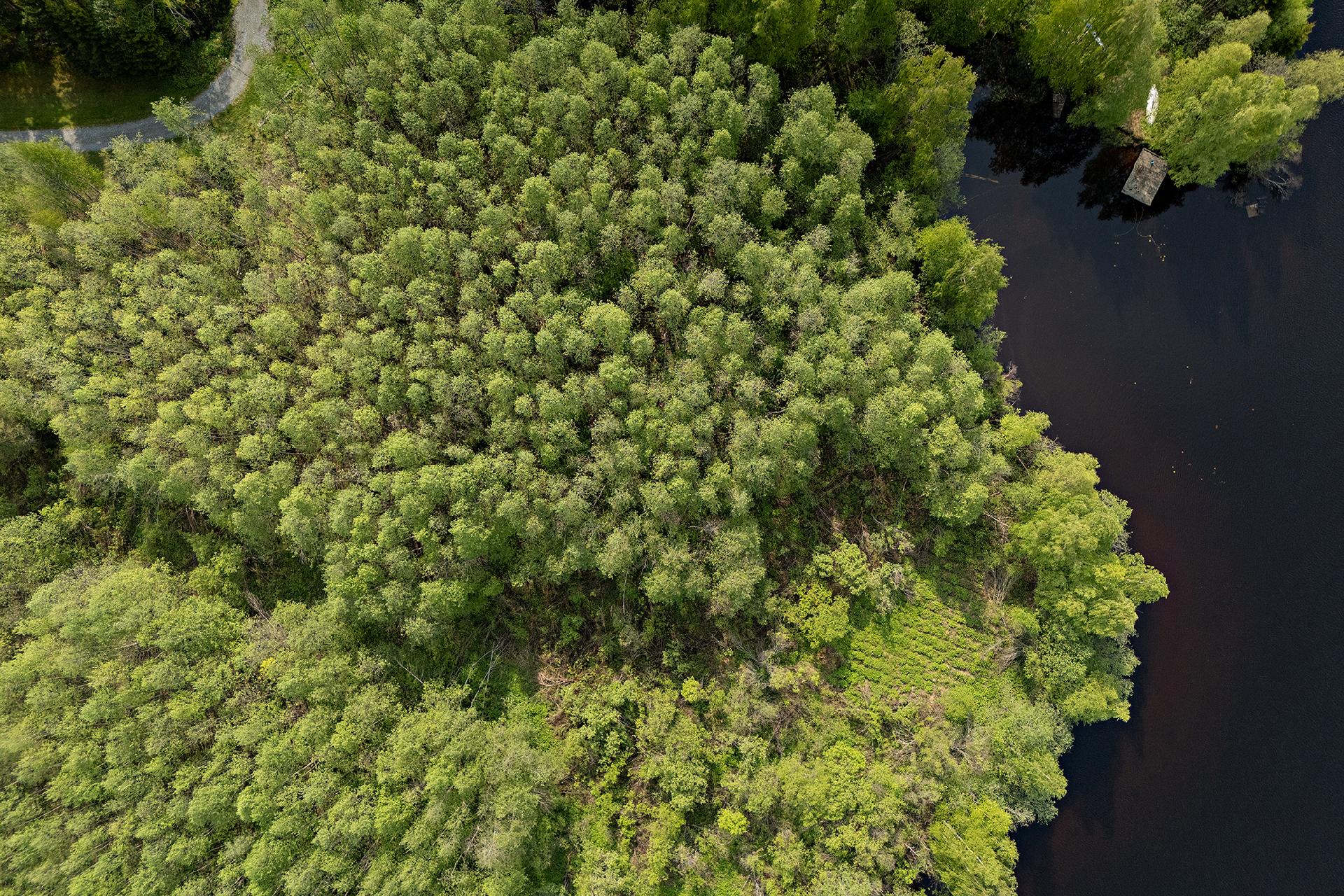 Sotkantie 1259, Sotkajärvi, Utajärvi