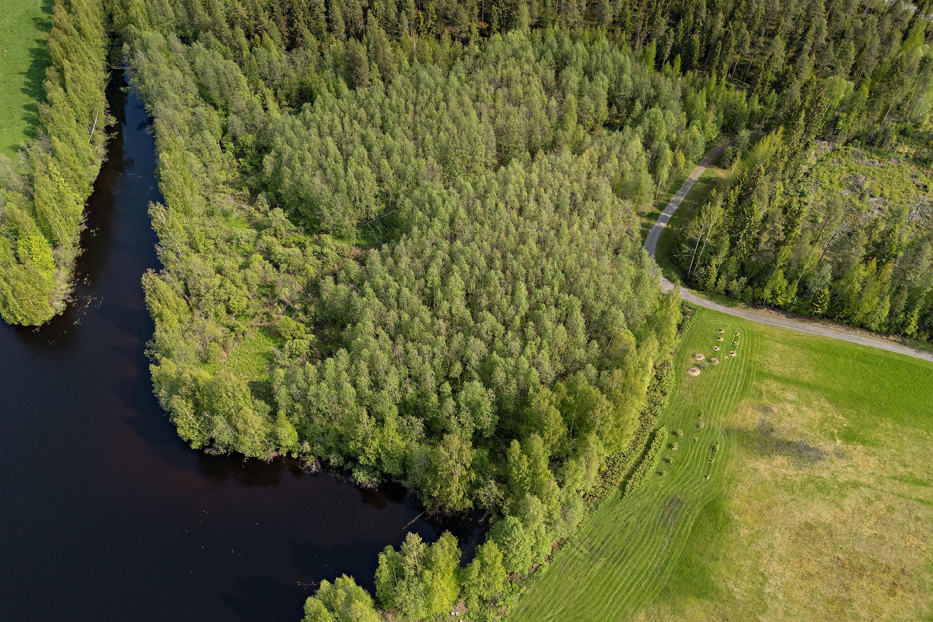 Sotkantie 1259, Sotkajärvi, Utajärvi