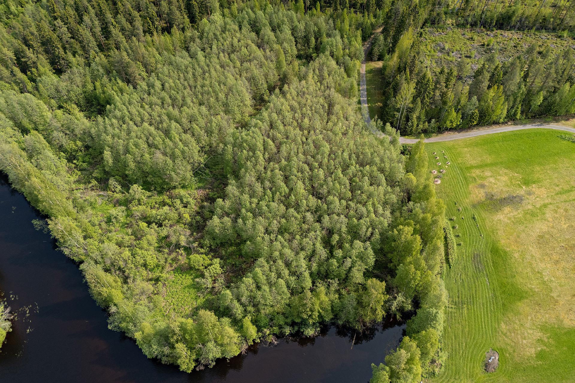 Sotkantie 1259, Sotkajärvi, Utajärvi