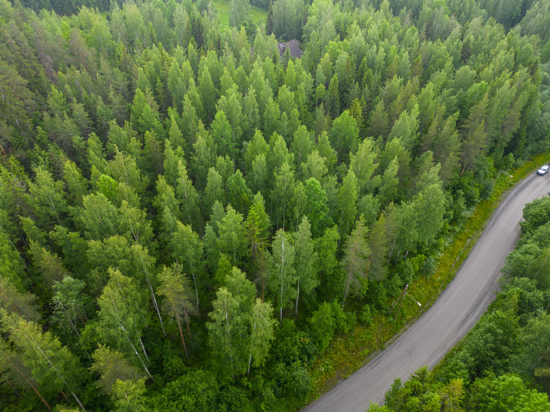 Antaverkantie rp, Antaverkka, Ylöjärvi