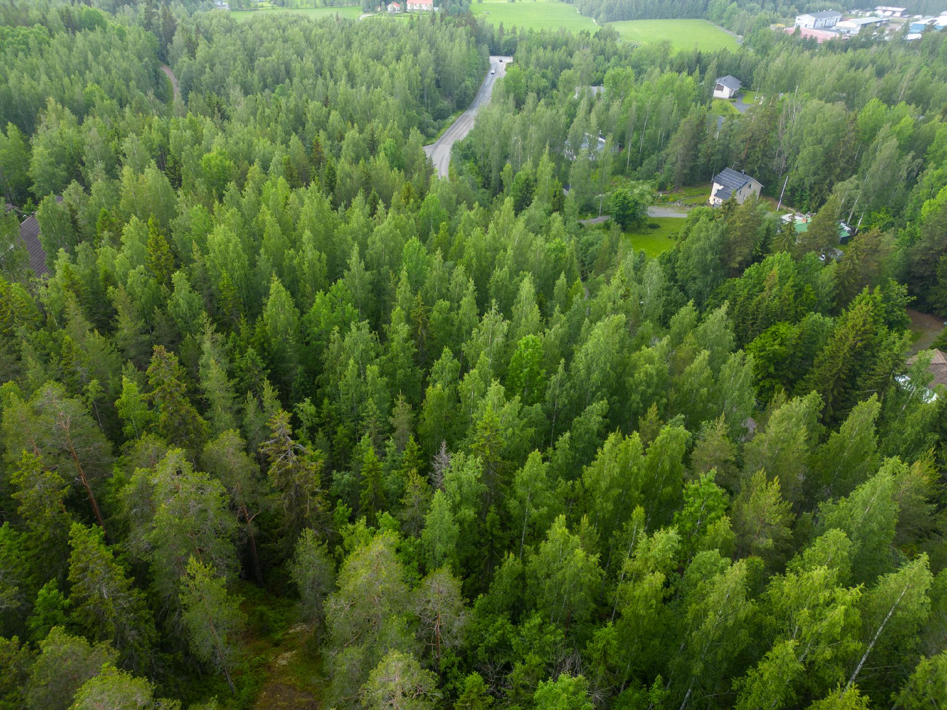 Antaverkantie rp, Antaverkka, Ylöjärvi