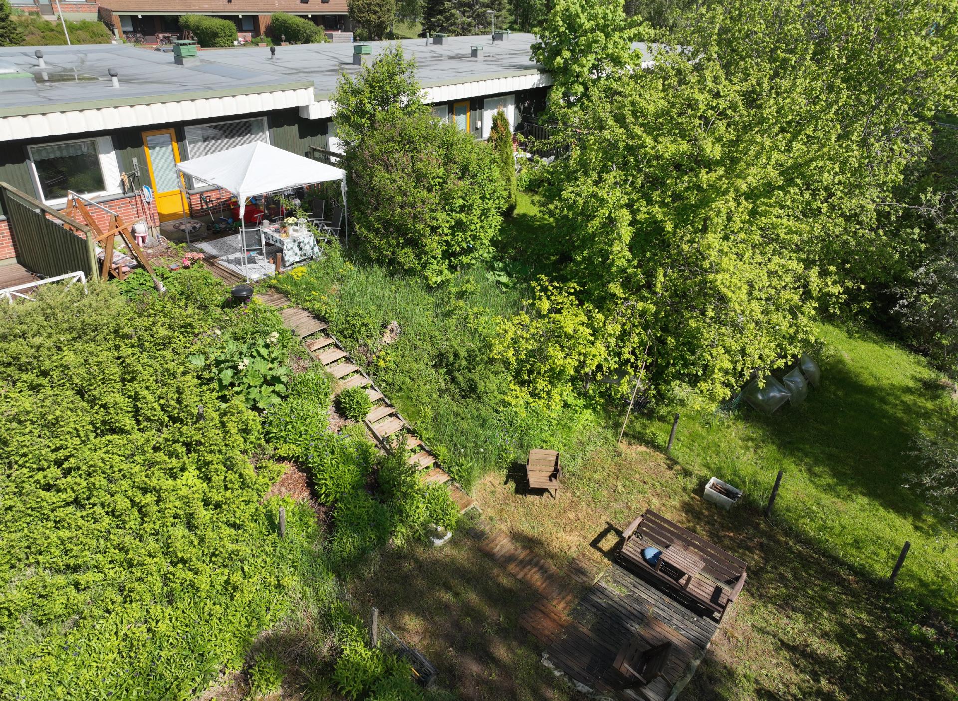 Takapihalla 2 tasannetta