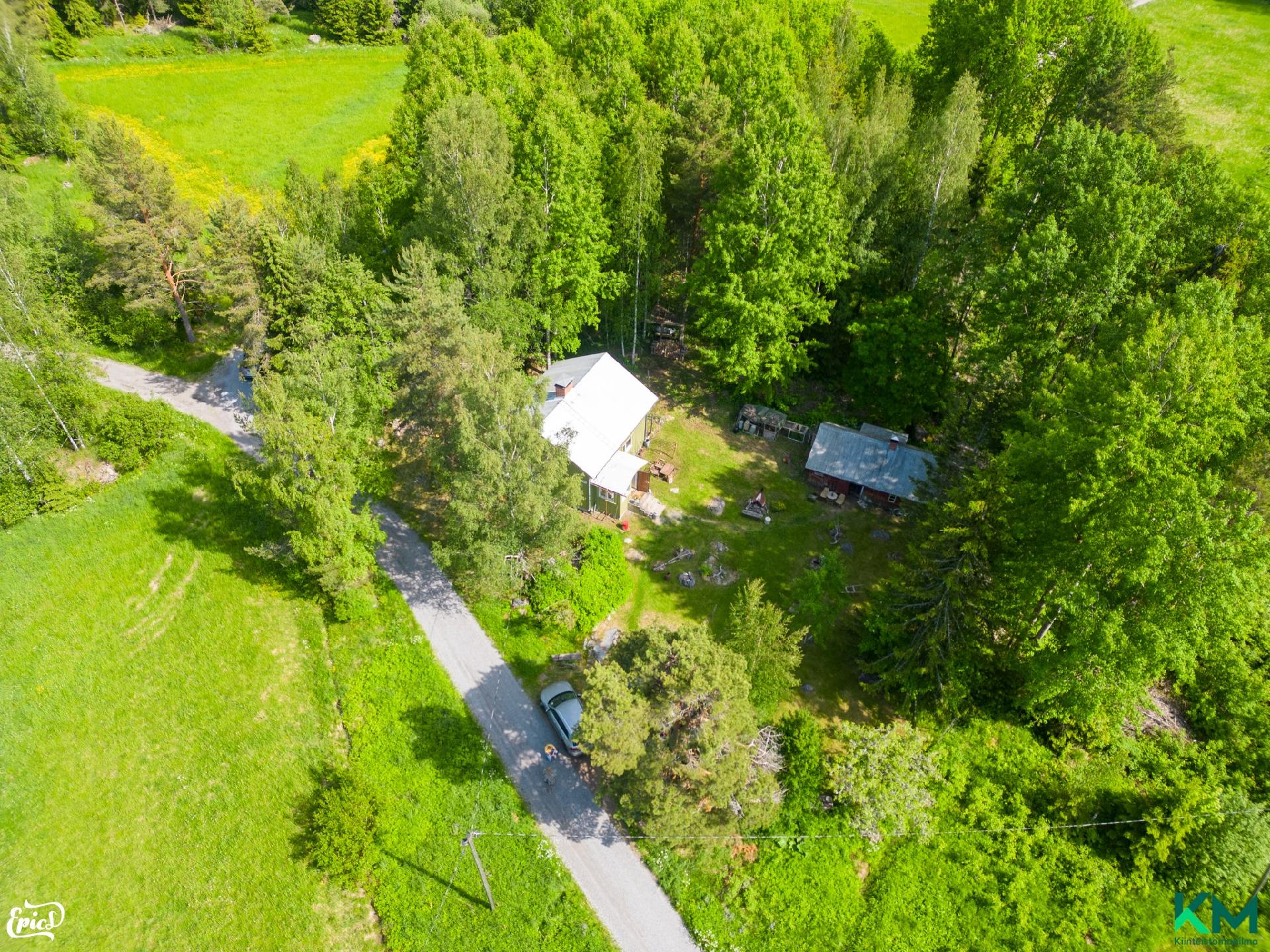 Pihaa ympäröi suojaisa metsäalue