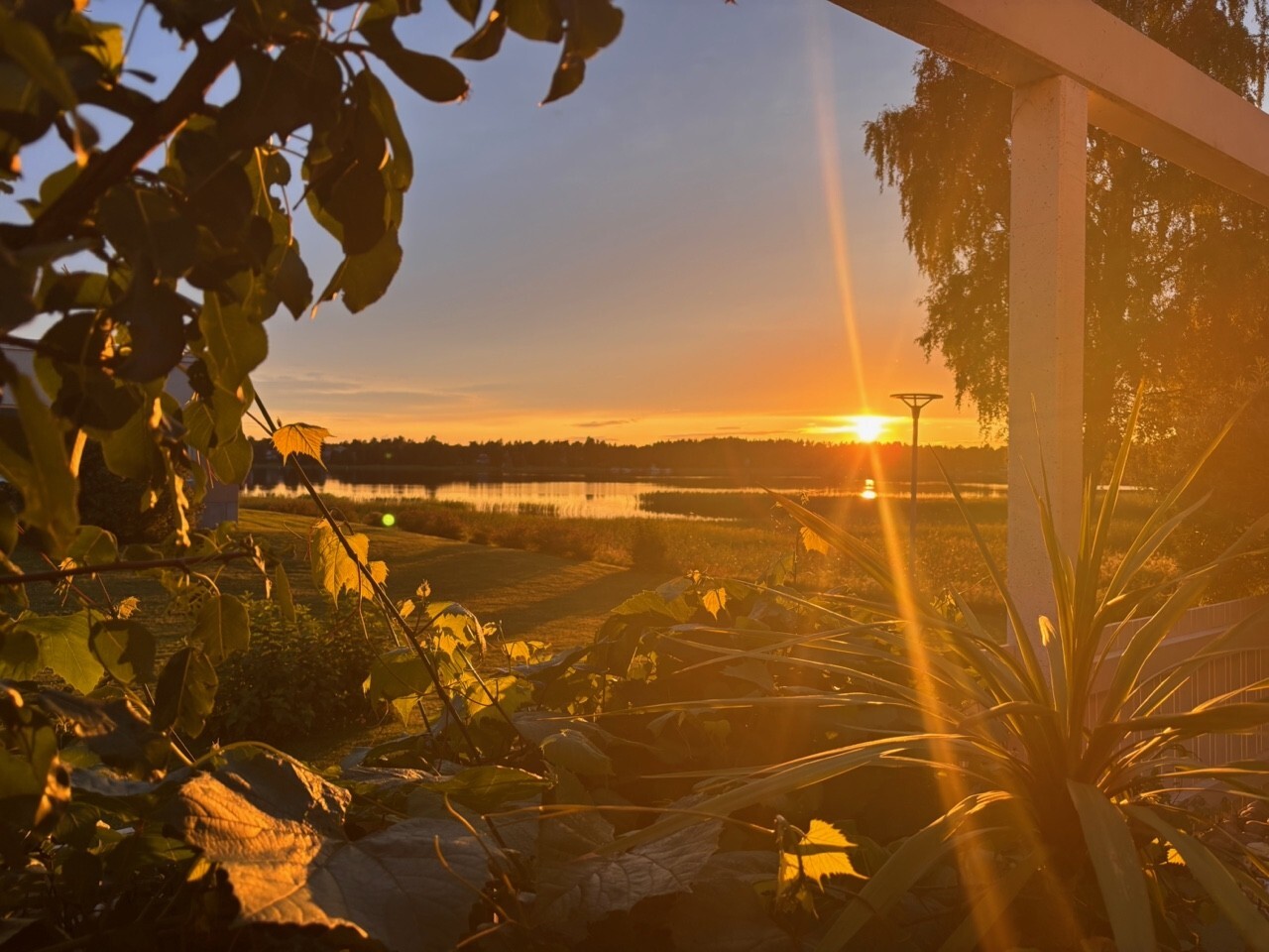 Valkovuokonkatu 3, Tammisaari, Raasepori