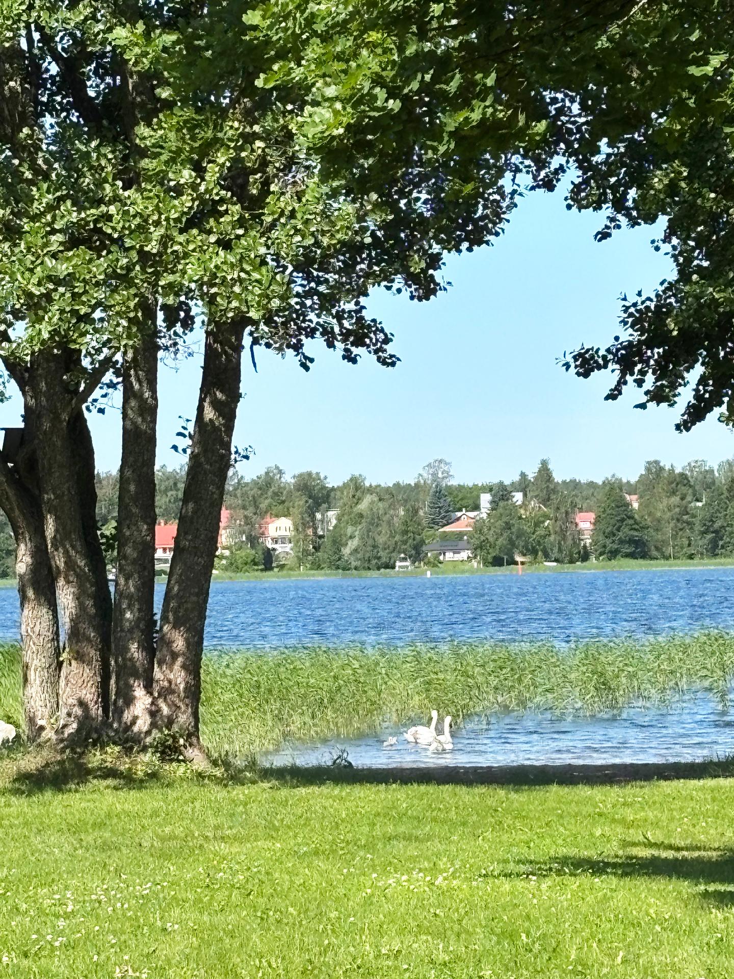 Valkovuokonkatu 3, Tammisaari, Raasepori