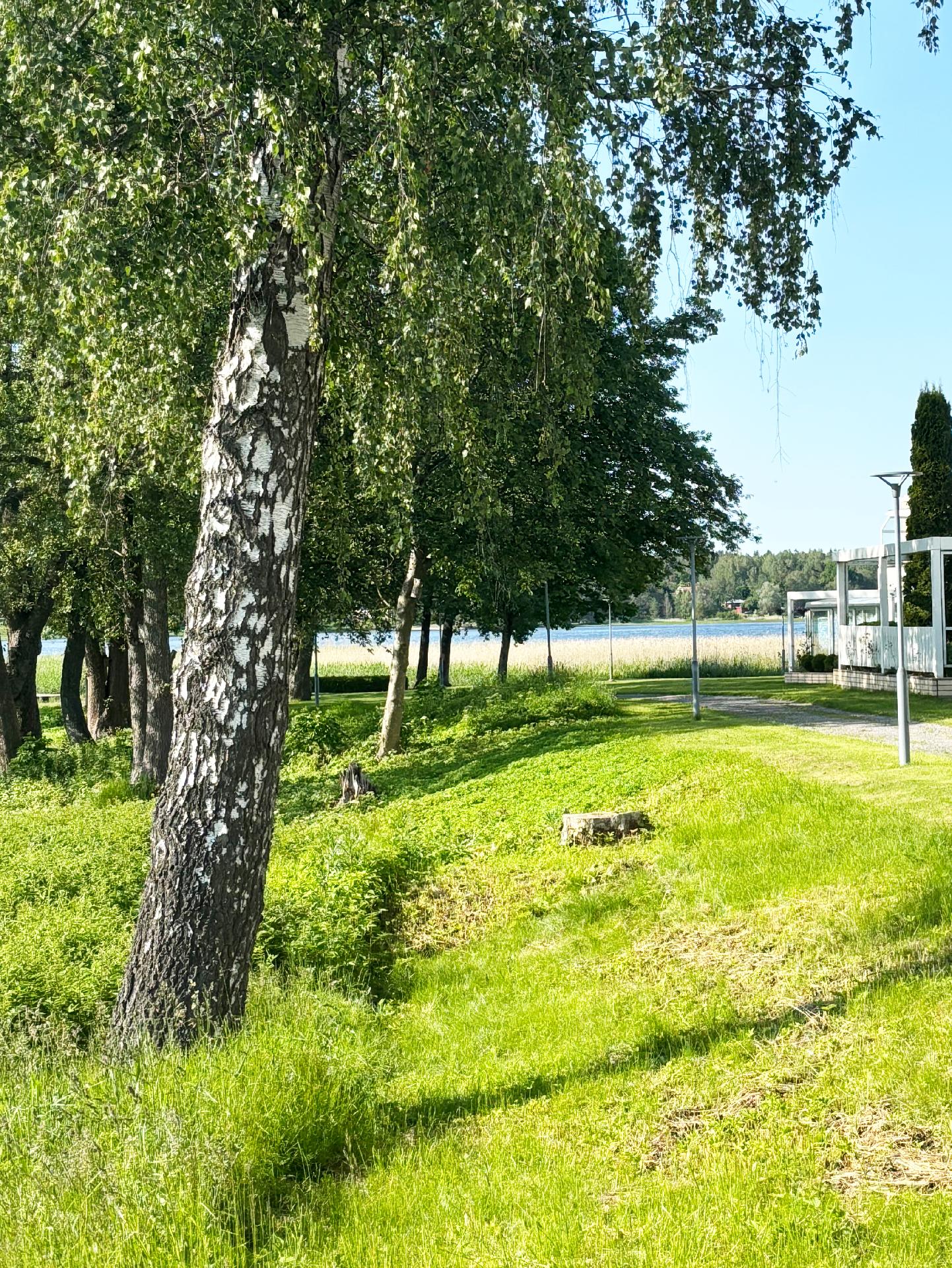 Valkovuokonkatu 3, Tammisaari, Raasepori