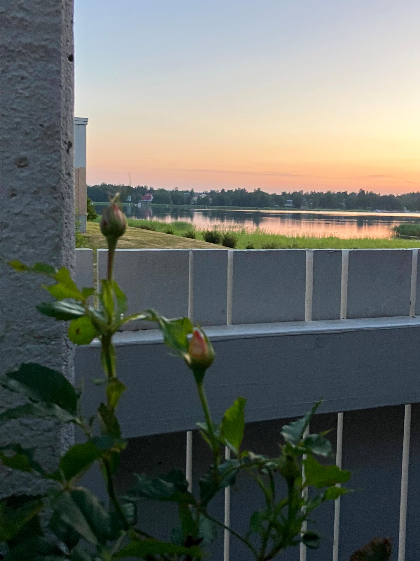 Valkovuokonkatu 3, Tammisaari, Raasepori