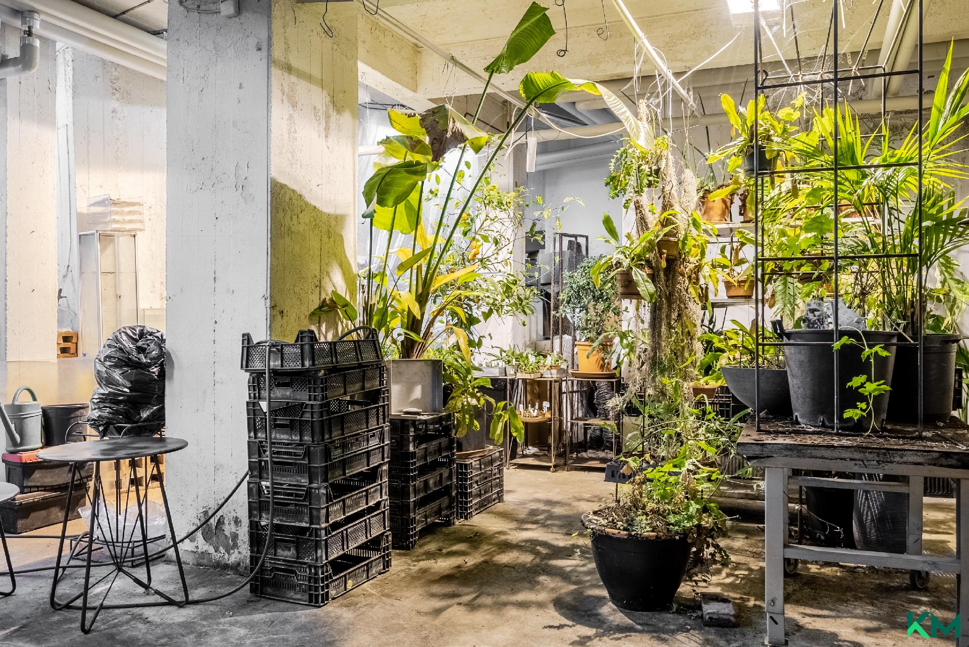 Töölönkatu 36, Töölö, Helsinki