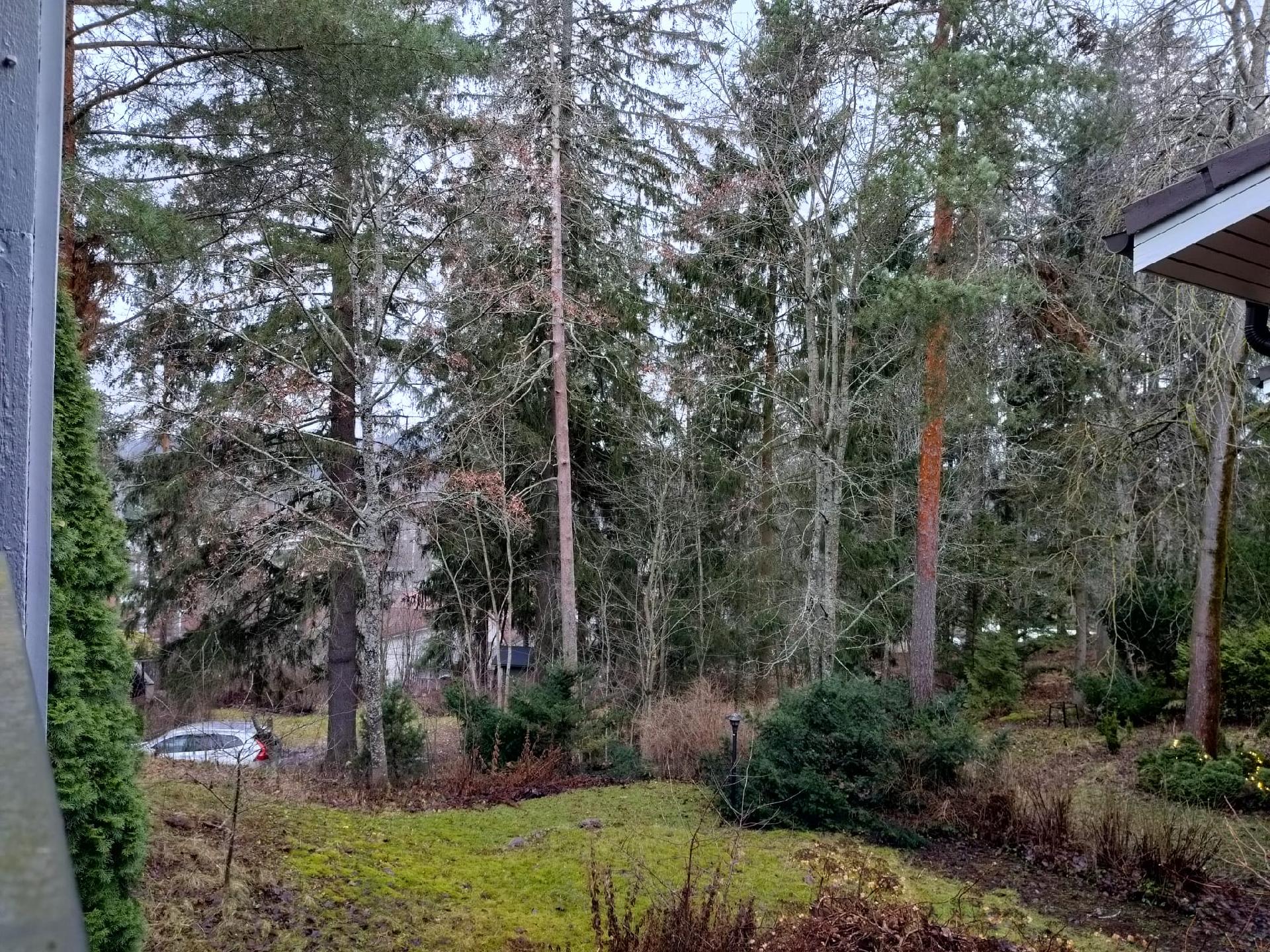 Näkymä takapihan parvekkeelta