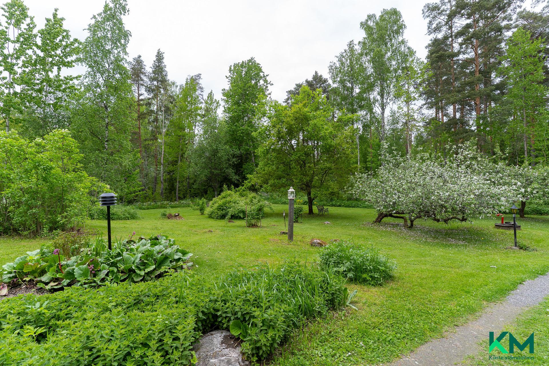 Kaunis puutarhatontti