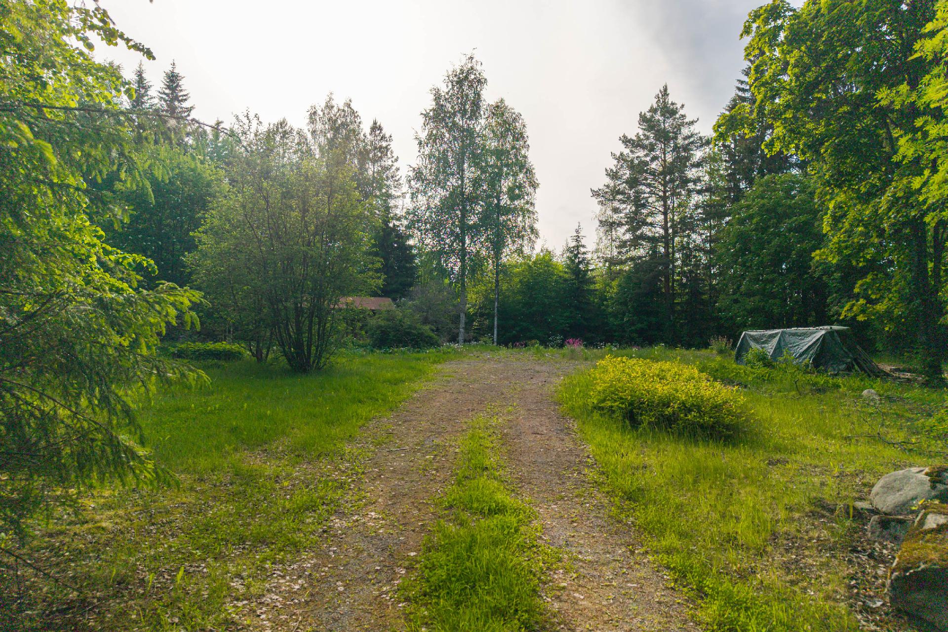 Hirvimäentie 137, Hiltulanlahti, Kuopio