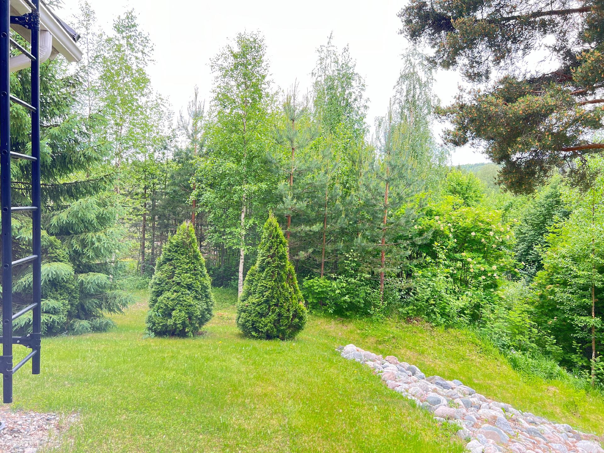 vehreä luonto ympärillä