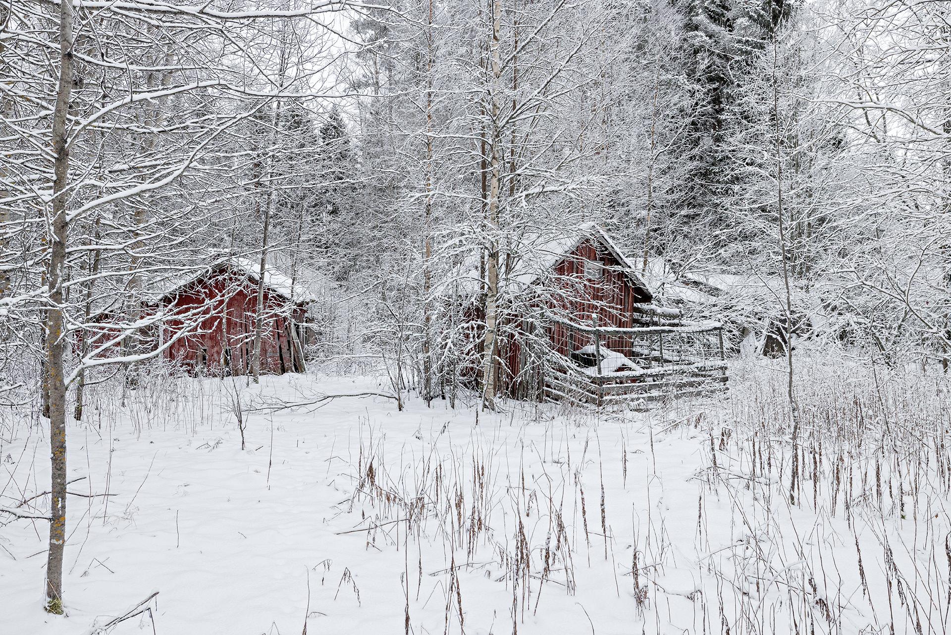 Ollikkakuja 7, Lehtoselkä, Muhos