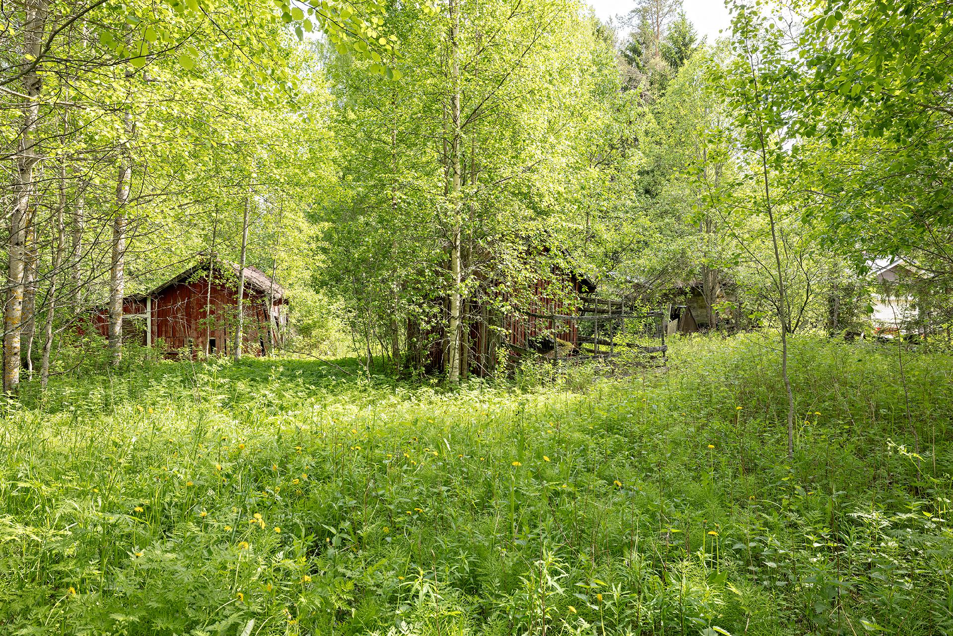 Ollikkakuja 7, Lehtoselkä, Muhos