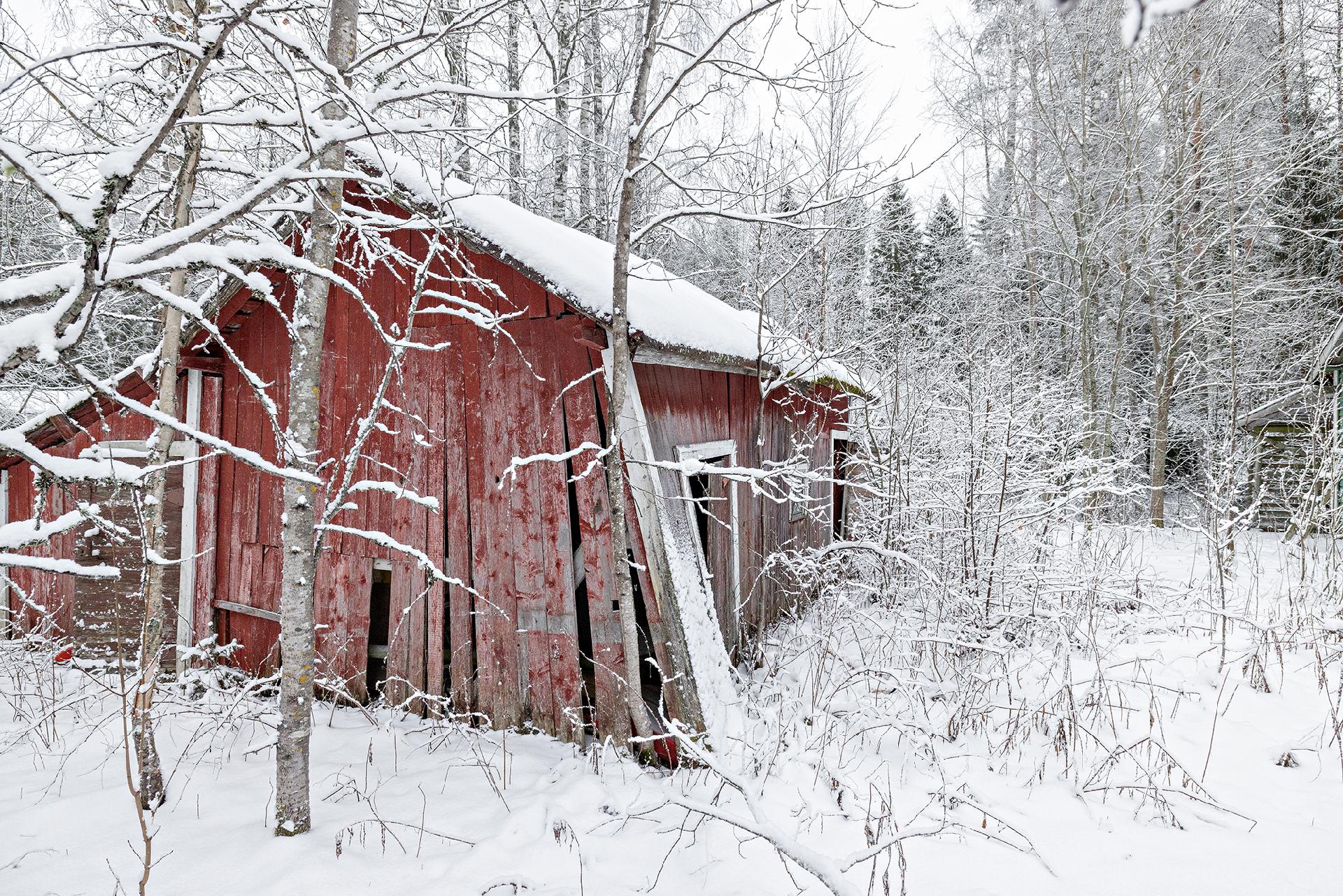 Ollikkakuja 7, Lehtoselkä, Muhos