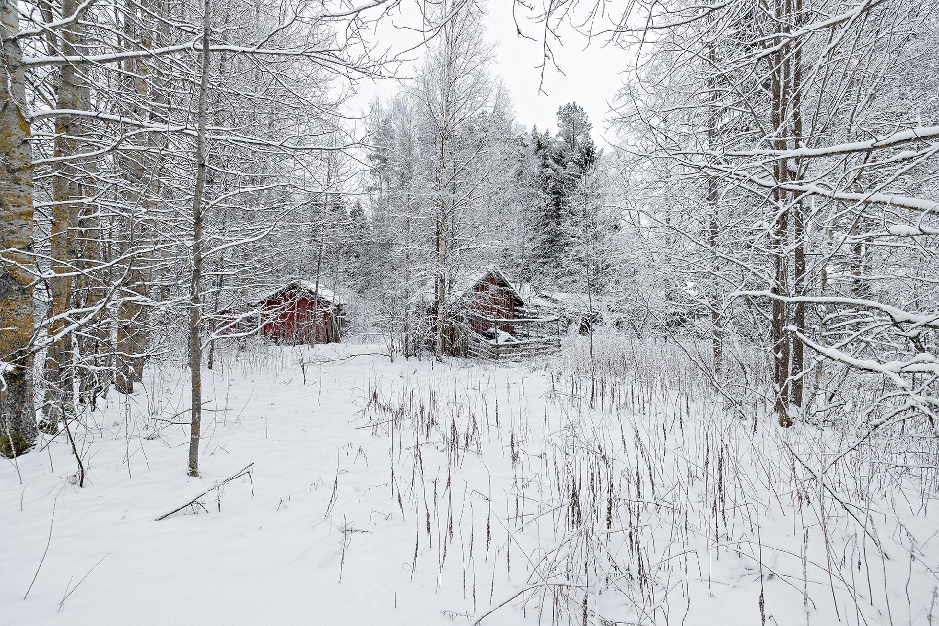 Ollikkakuja 7, Lehtoselkä, Muhos