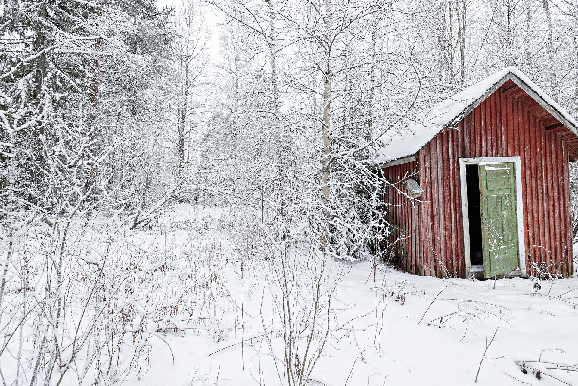 Ollikkakuja 7, Lehtoselkä, Muhos