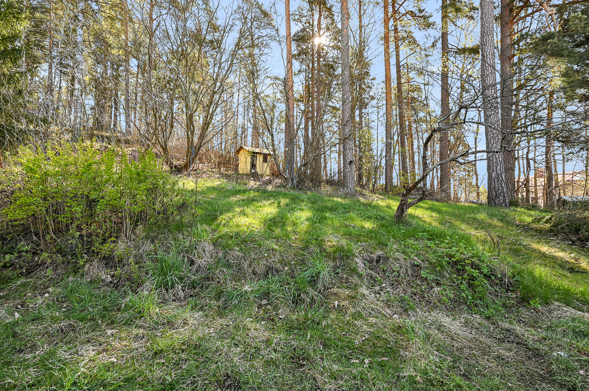 Vanamontie 13, Raasepori