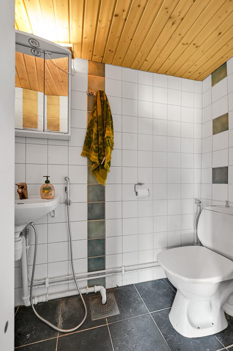 Vanamontie 13, Tammisaari, Raasepori