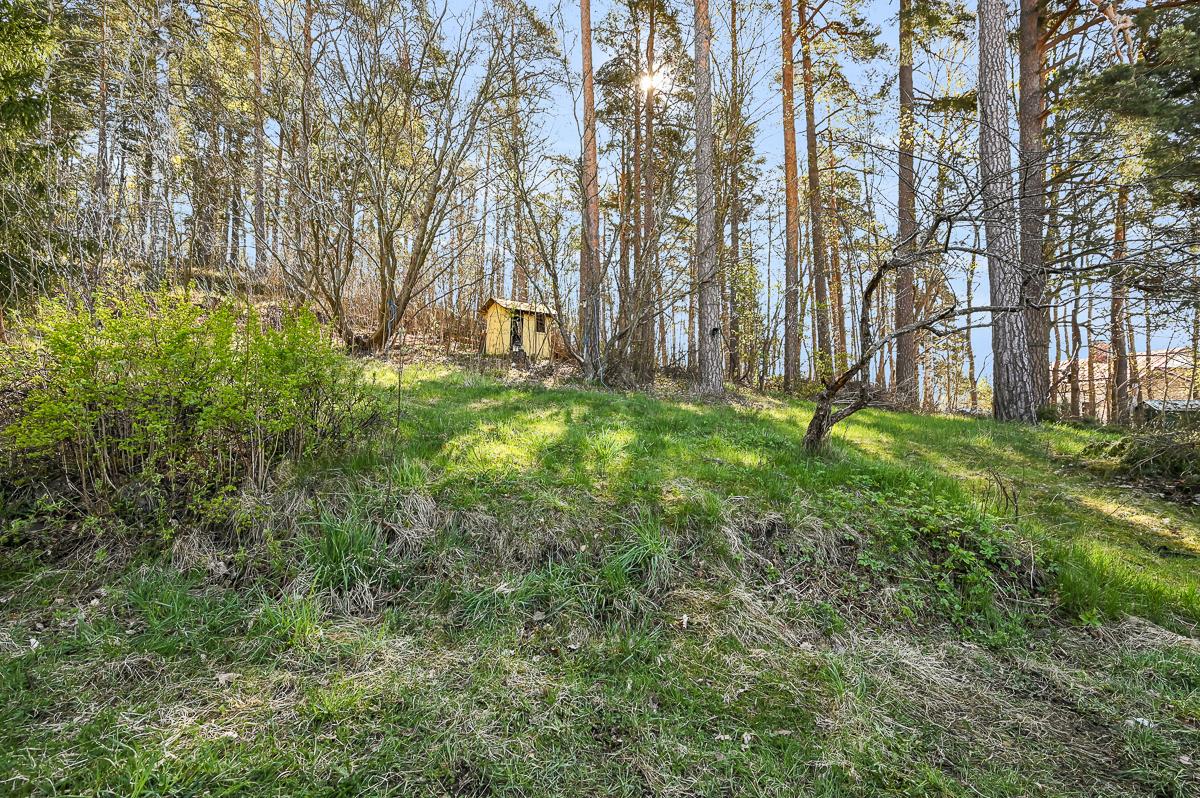 Vanamontie 13, Tammisaari, Raasepori