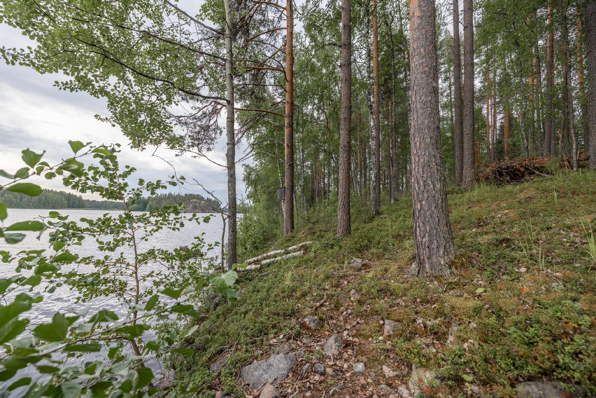 Aironiementie 85, Kontila, Puumala
