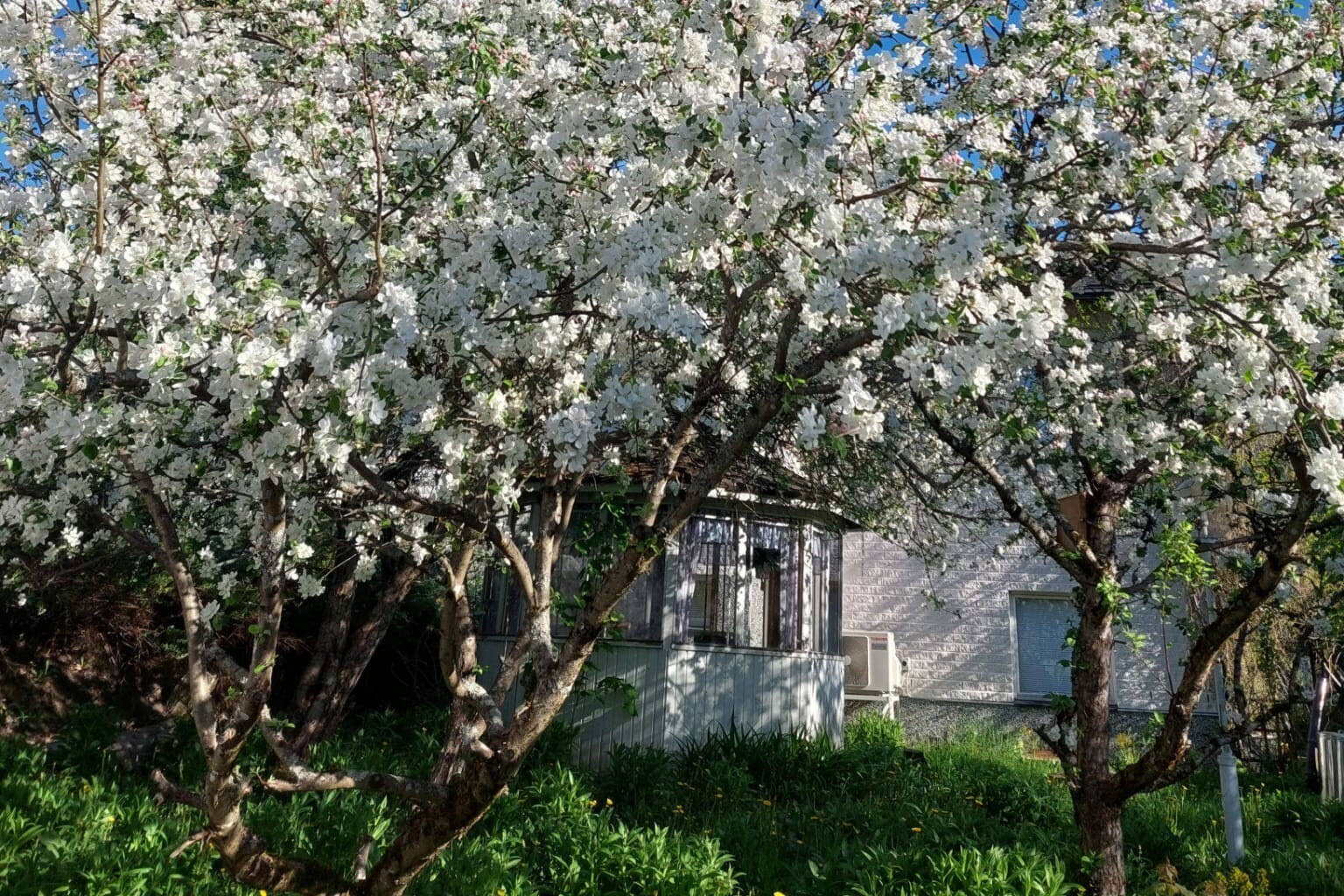 Hirvikatu 22, Mikonkorpi, Järvenpää