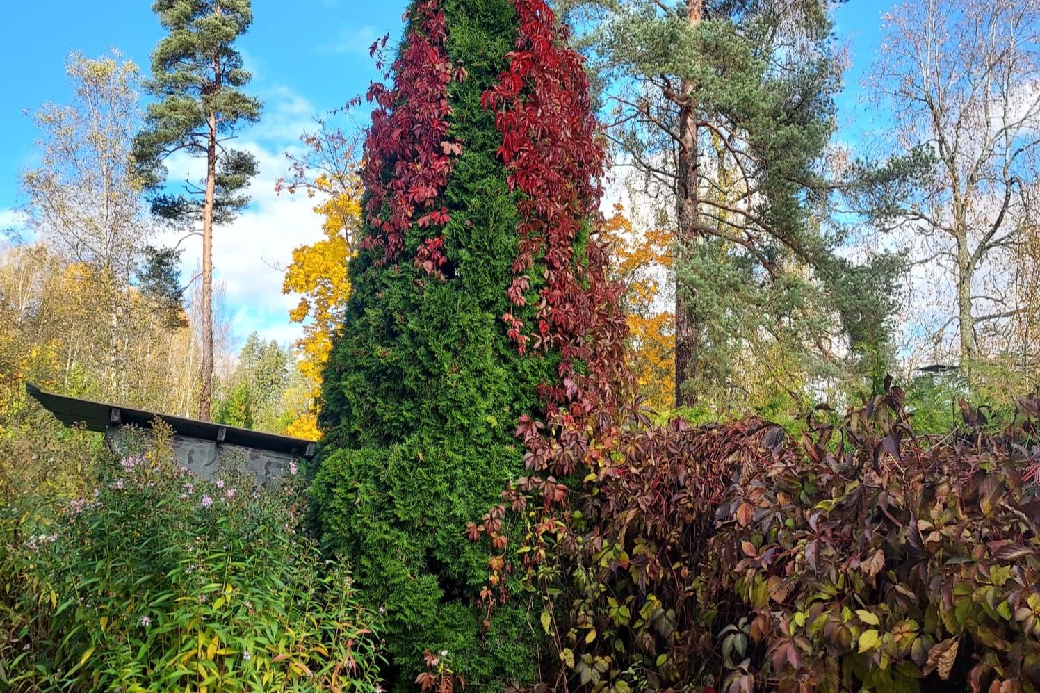 Hirvikatu 22, Mikonkorpi, Järvenpää