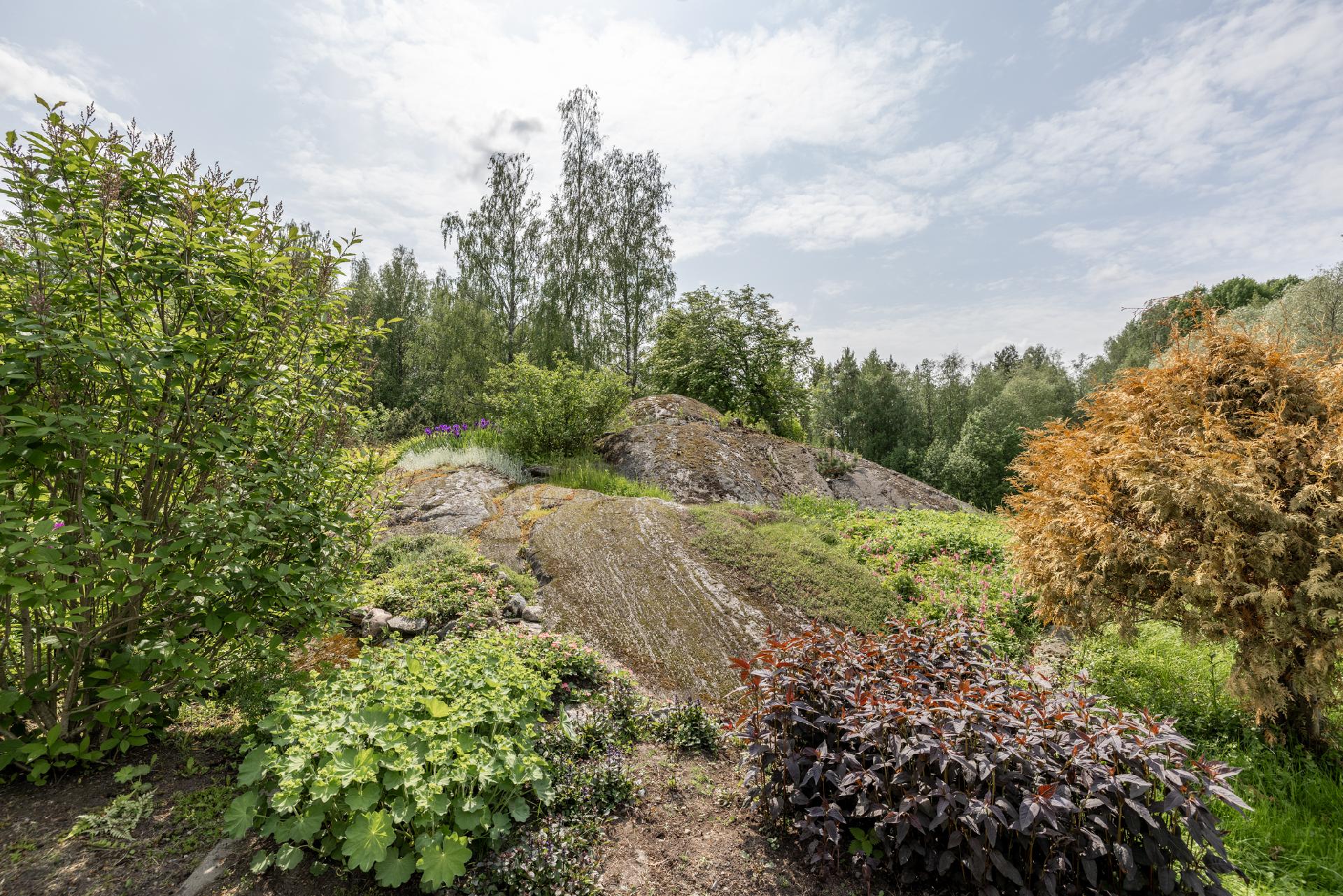 tontilla kaunis kallio