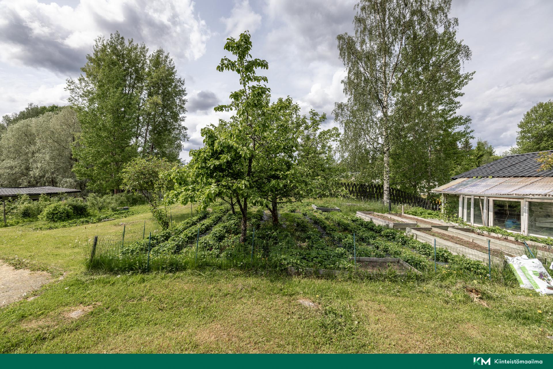 Niemekkeentie 24, Mikkeli