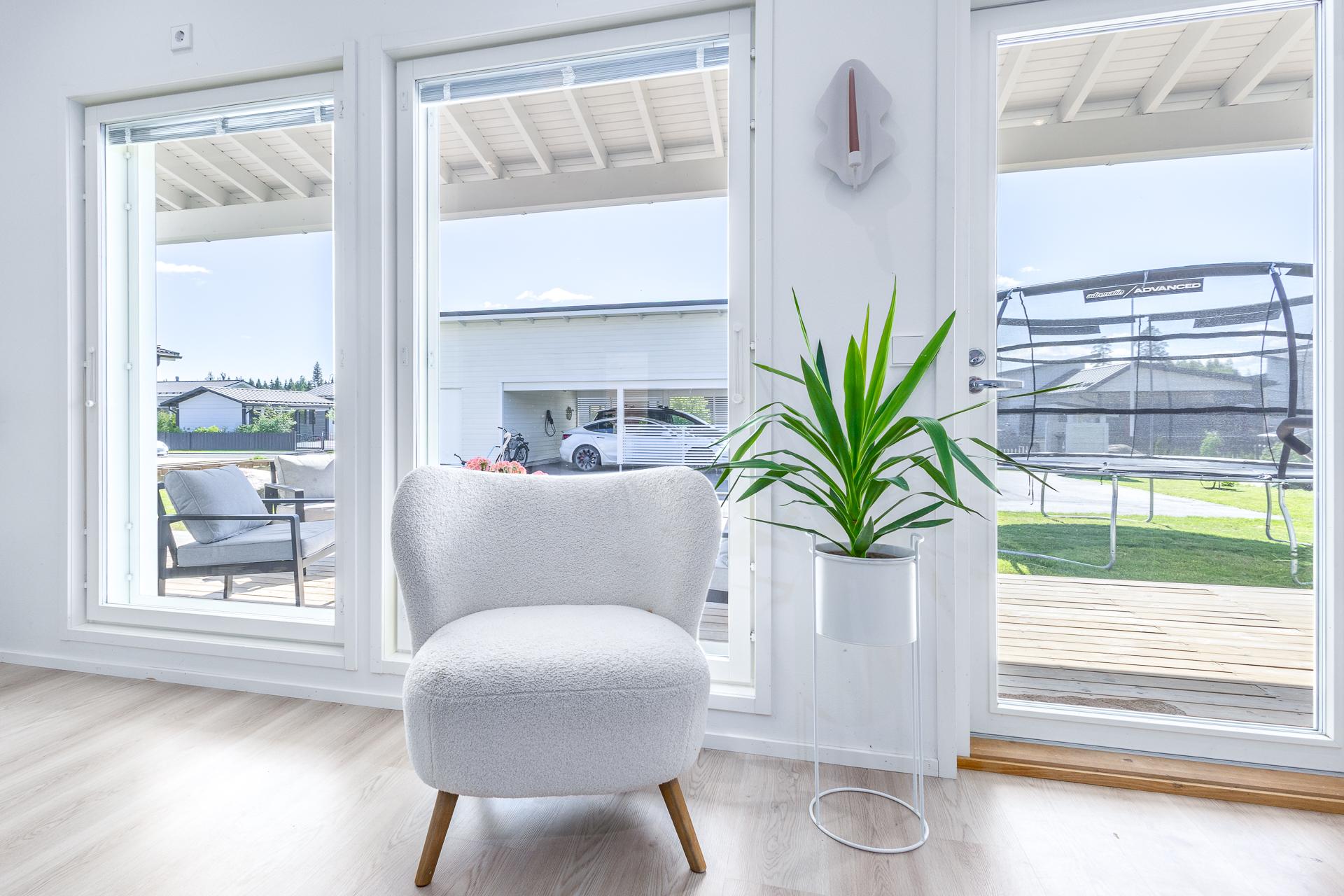 Olohuoneesta näkymä pihalle