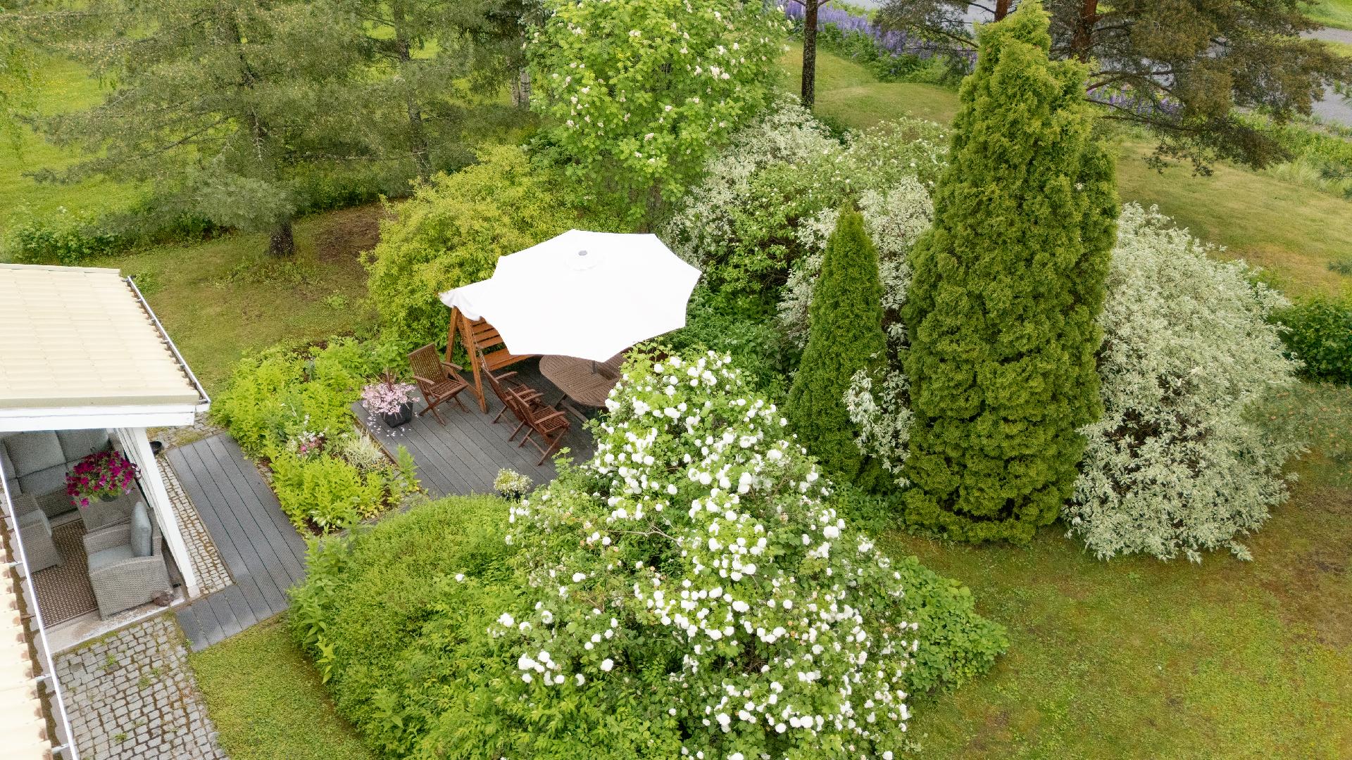 Takapihaa taivaalta päin