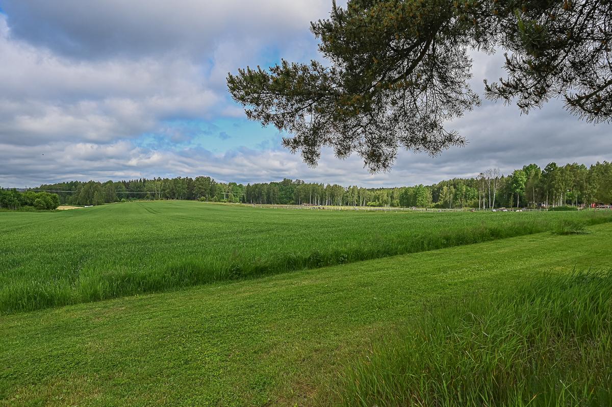 Vanha Baggbyntie 48, Tammisaari, Raasepori