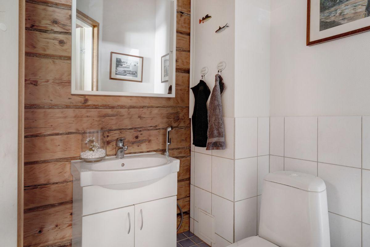 Vanha Baggbyntie 48, Tammisaari, Raasepori