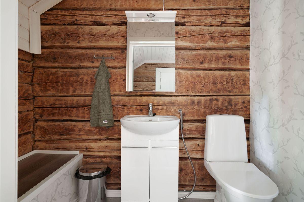 Vanha Baggbyntie 48, Tammisaari, Raasepori