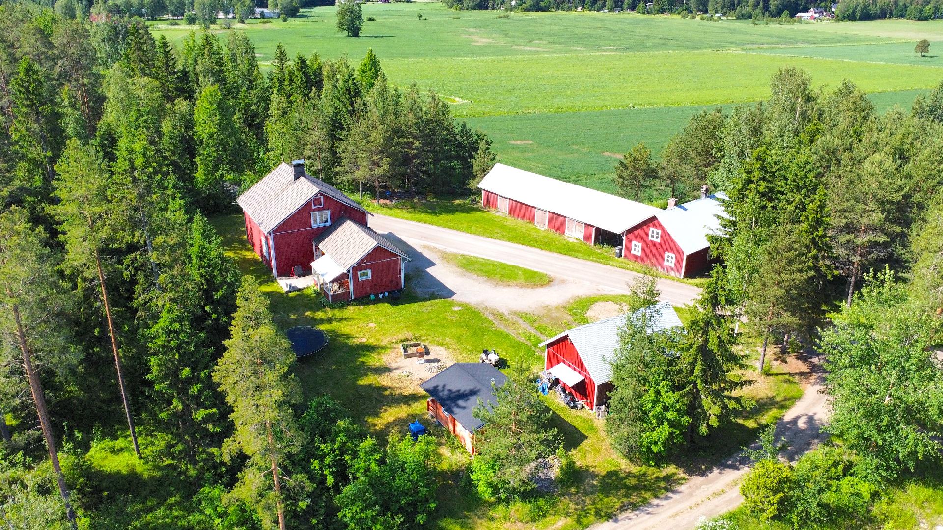 Hyövältintie 81, Koskenkorva, Ilmajoki
